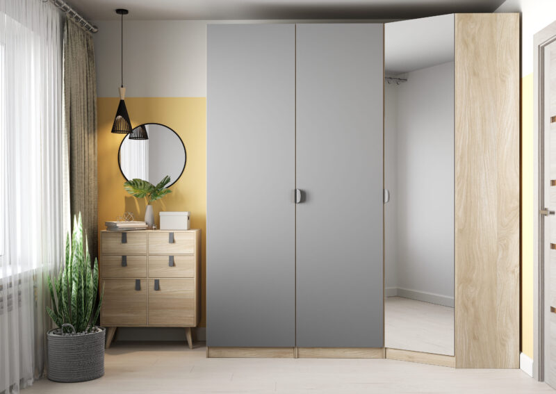 Шкаф распашной «Эболи»